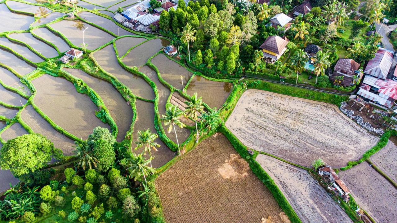 Villa Manuk Singaraja  Ngoại thất bức ảnh