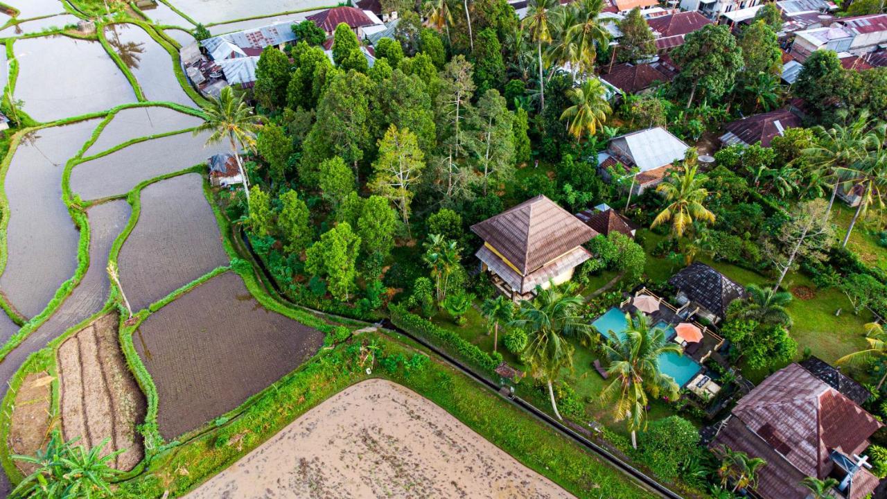 Villa Manuk Singaraja  Ngoại thất bức ảnh