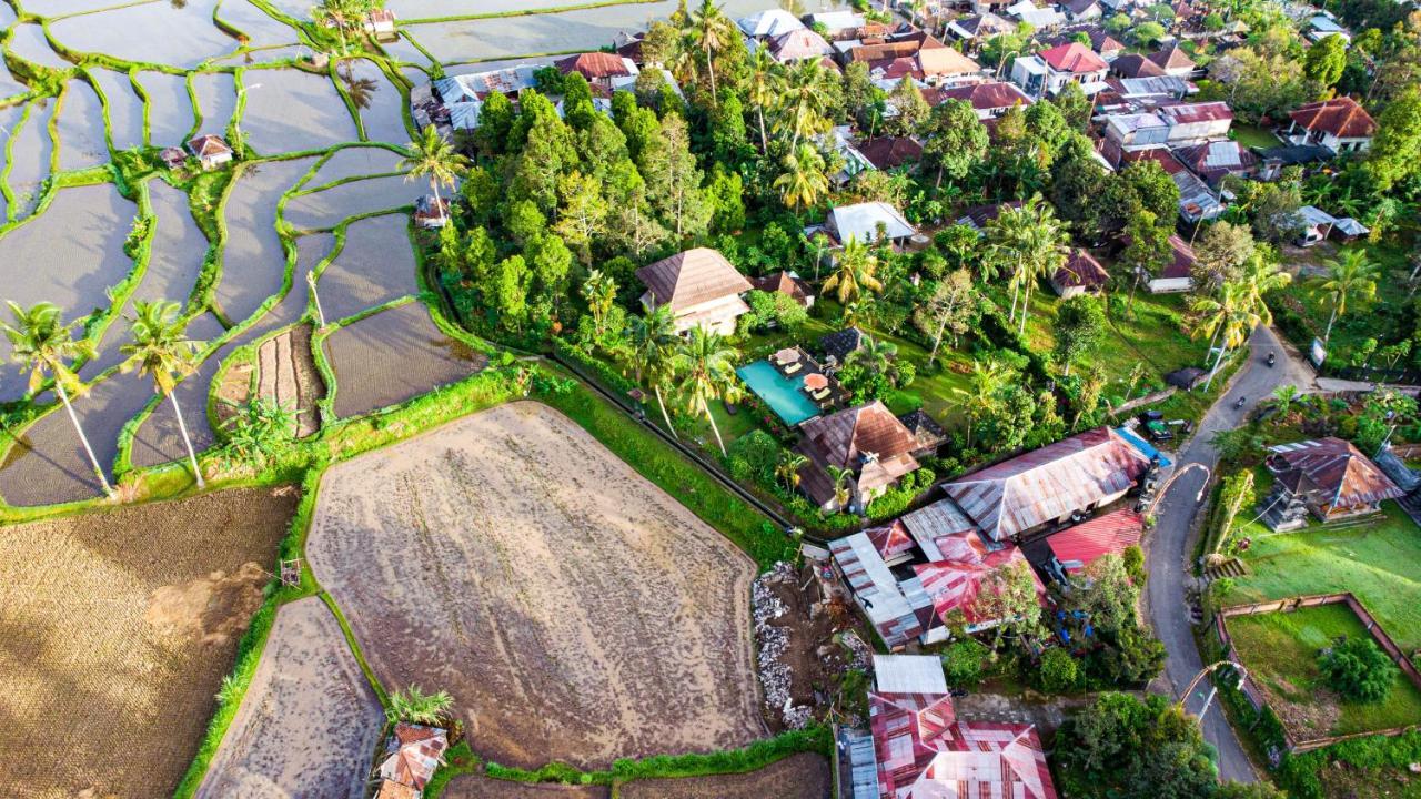 Villa Manuk Singaraja  Ngoại thất bức ảnh