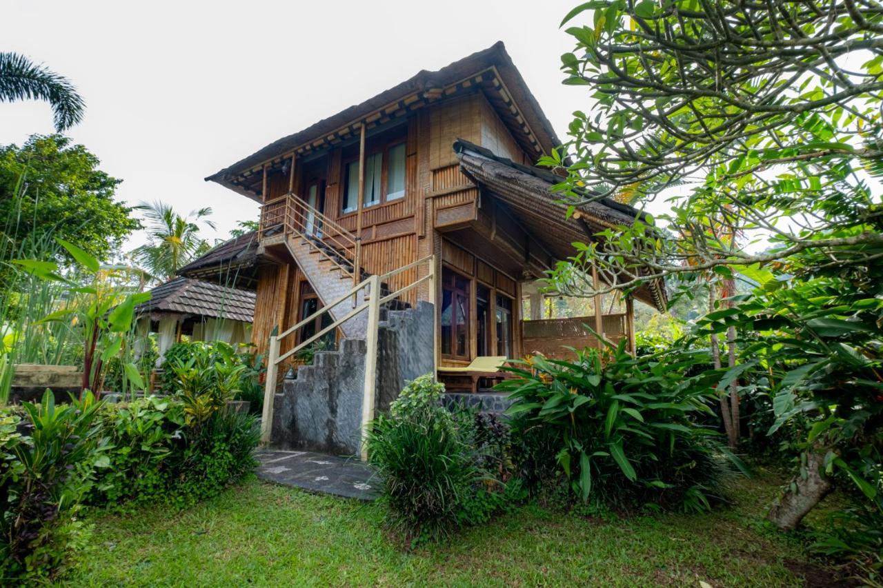 Villa Manuk Singaraja  Ngoại thất bức ảnh