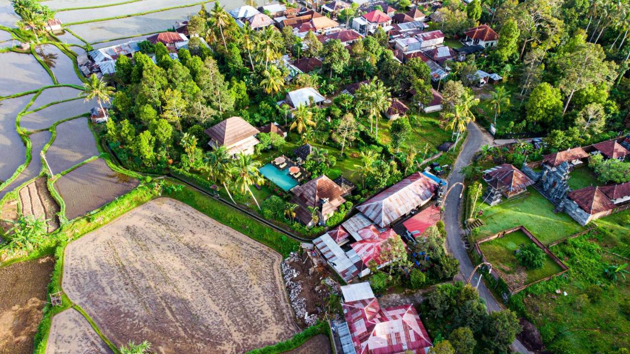 Villa Manuk Singaraja  Ngoại thất bức ảnh